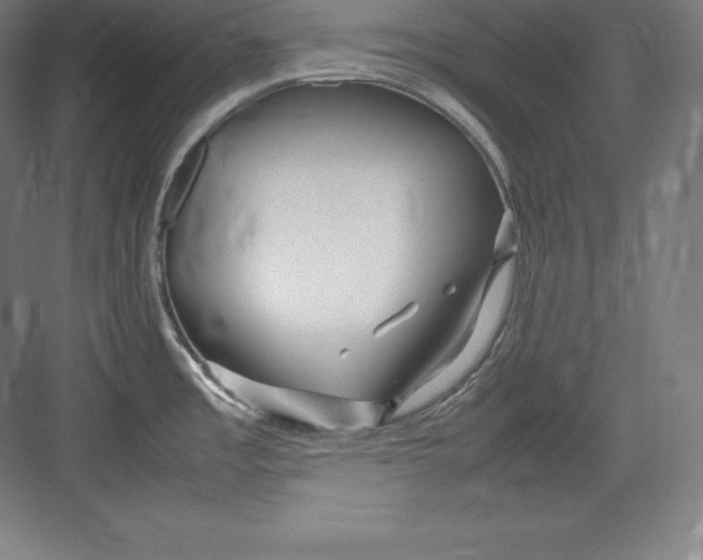X0000082751485200702161946