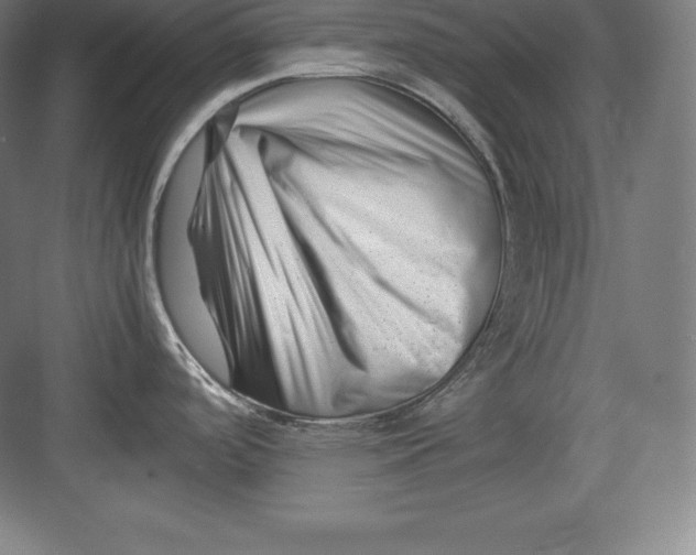 X0000082751488200702161946