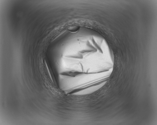 X0000082751489200702161946