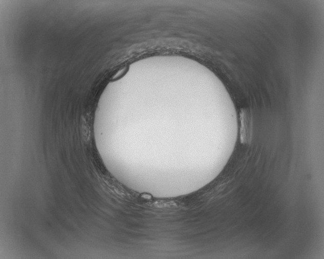X0000082751491200702161946