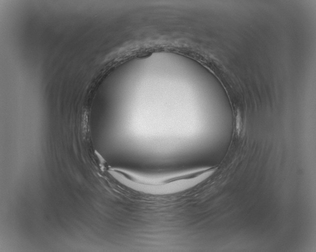 X0000082751492200702161946
