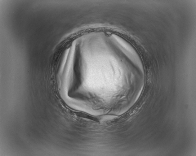 X0000082751494200702161946