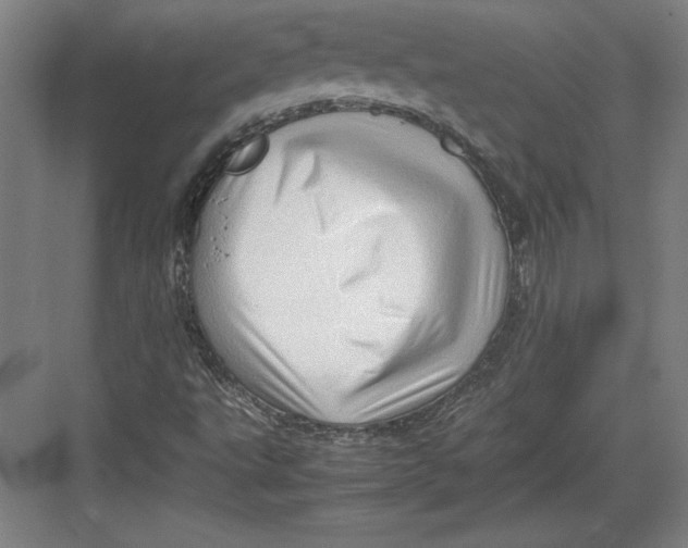 X0000082751495200702161946