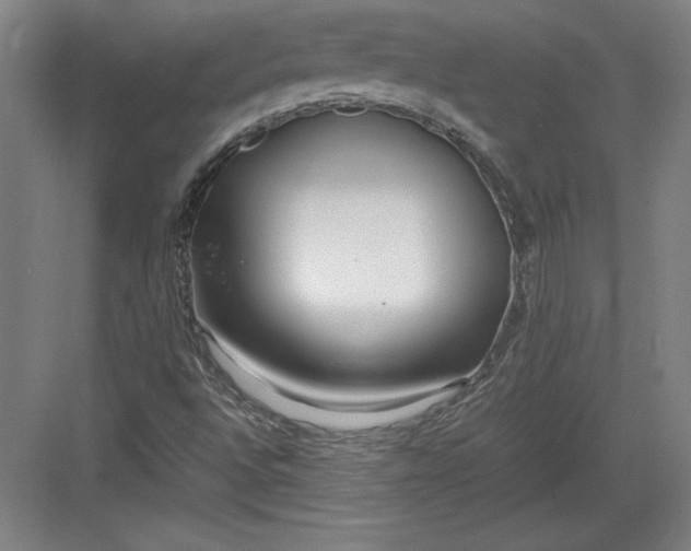 X0000082751496200702161946