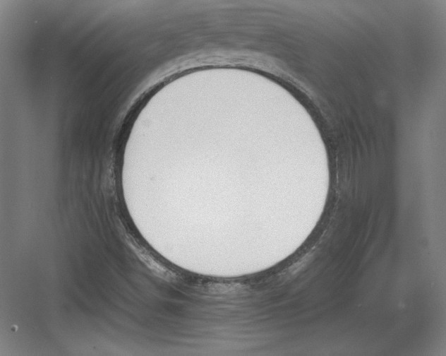 X0000082751498200702161946
