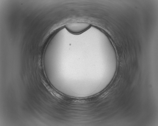 X0000082751499200702161946