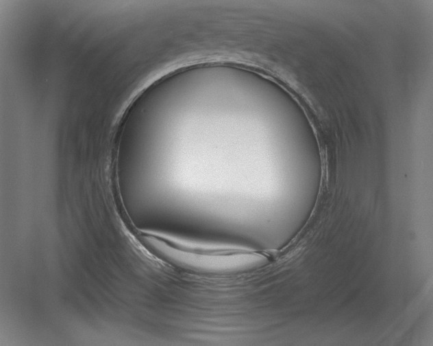X0000082751500200702161946