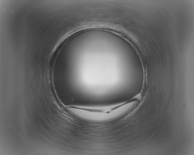 X0000082751501200702161946