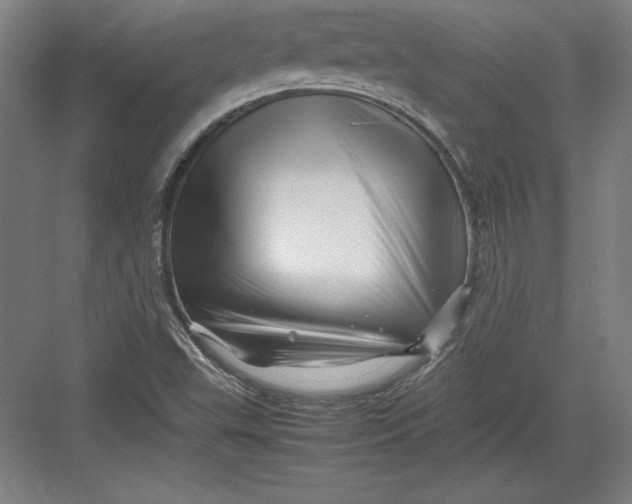 X0000082751503200702161946