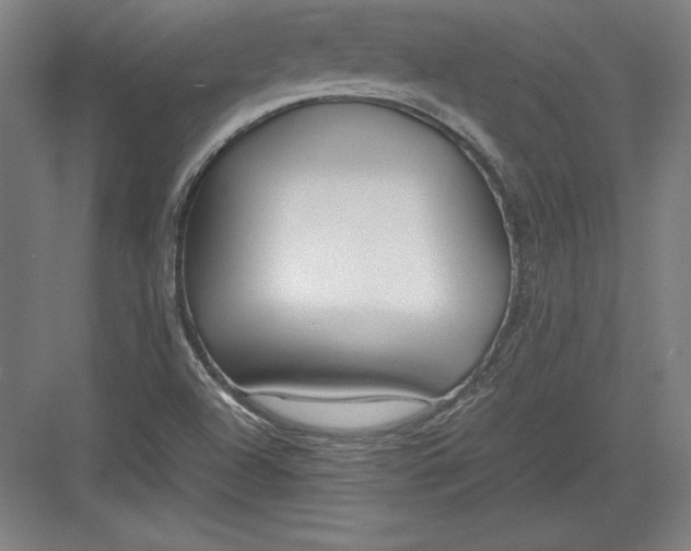 X0000082751504200702161946