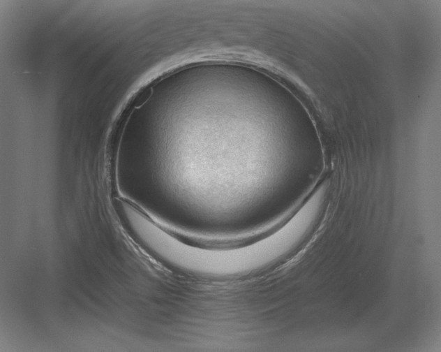 X0000082751506200702161946