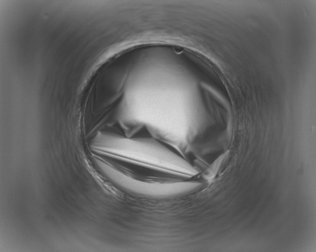 X0000082751507200702161946