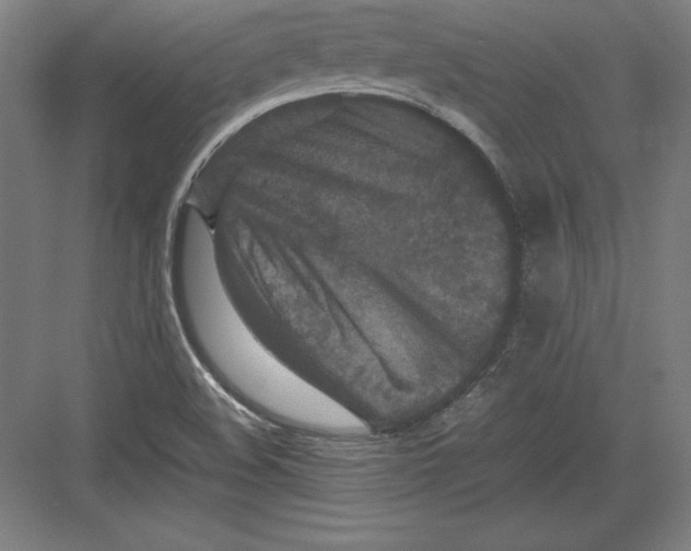 X0000082751508200702161946