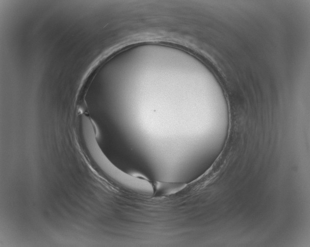 X0000082751509200702161946