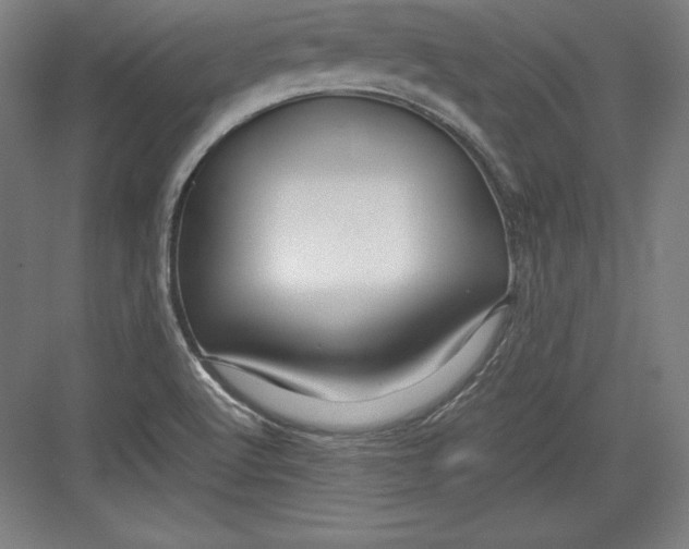 X0000082751512200702161946
