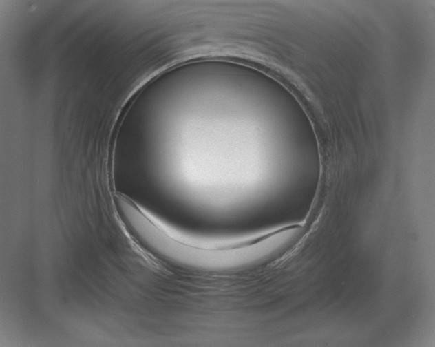 X0000082751513200702161946