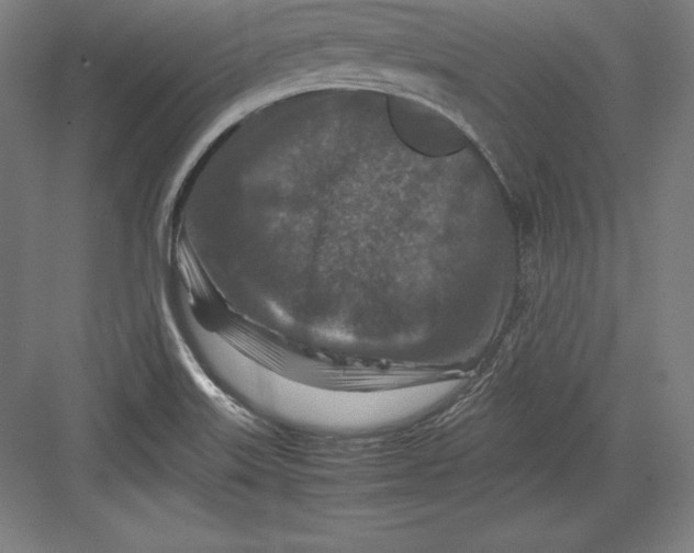 X0000082751515200702161946