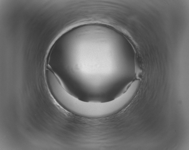 X0000082751516200702161946