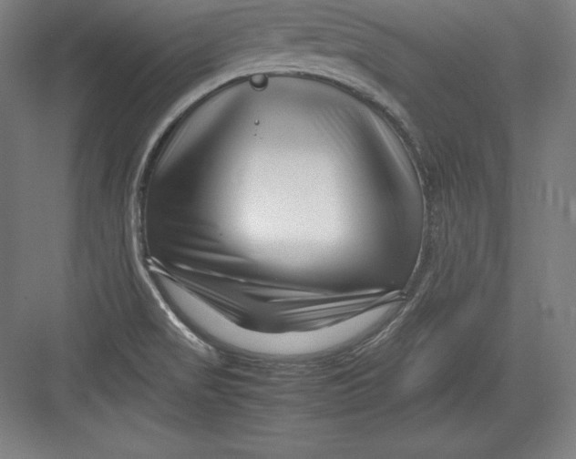 X0000082751517200702161946