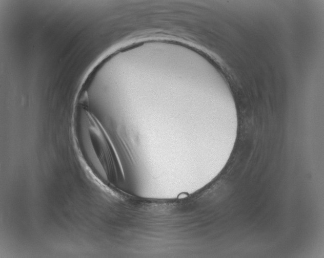 X0000082751518200702161946