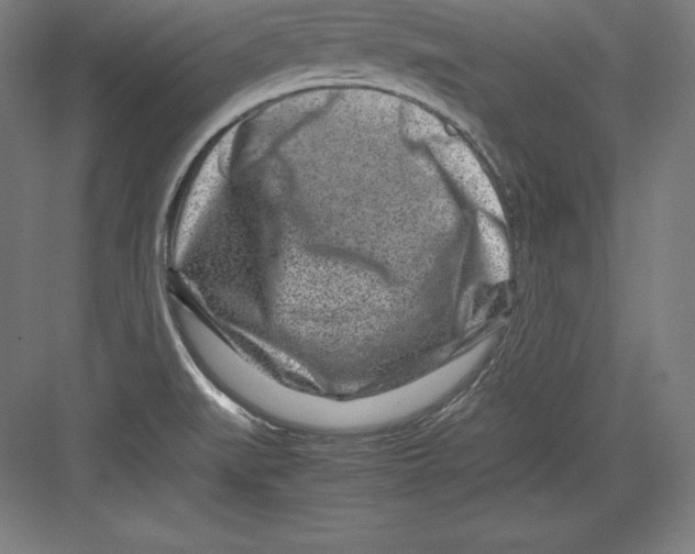 X0000082751519200702161946