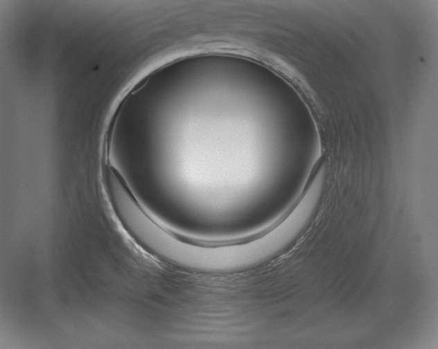 X0000082751520200702161946