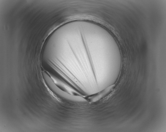 X0000082751521200702161946