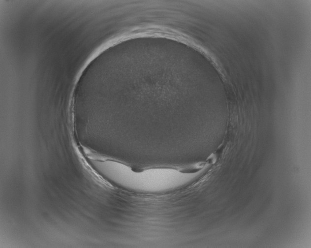 X0000082751522200702161946