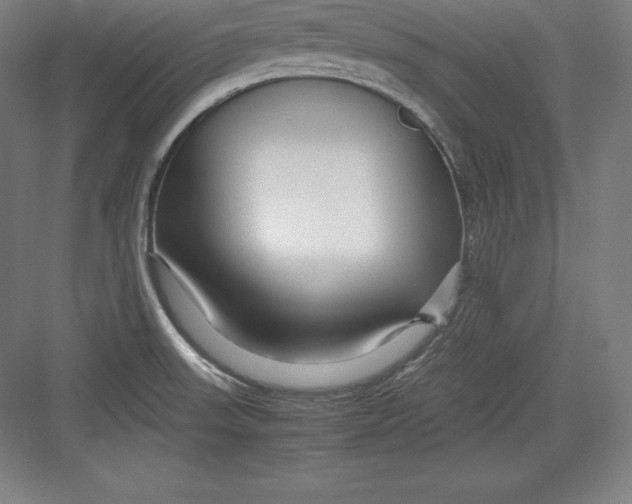 X0000082751523200702161946
