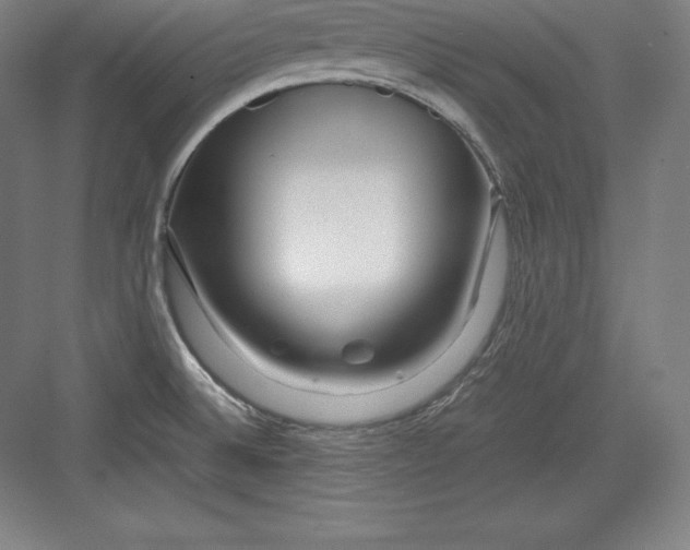X0000082751524200702161946