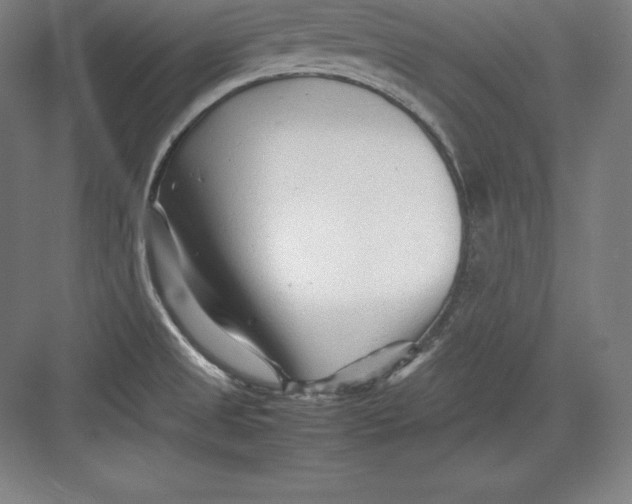 X0000082751525200702161946