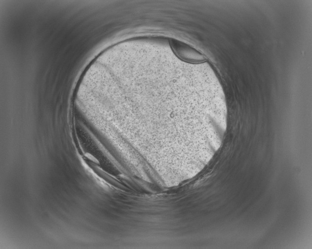 X0000082751527200702161946