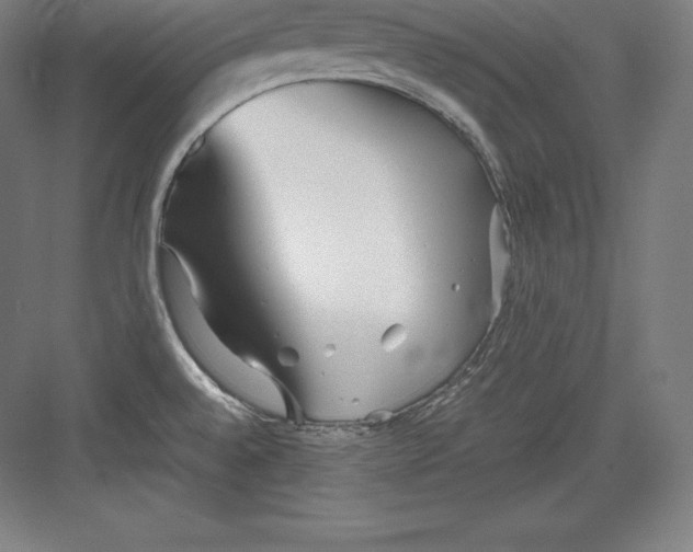 X0000082751528200702161946