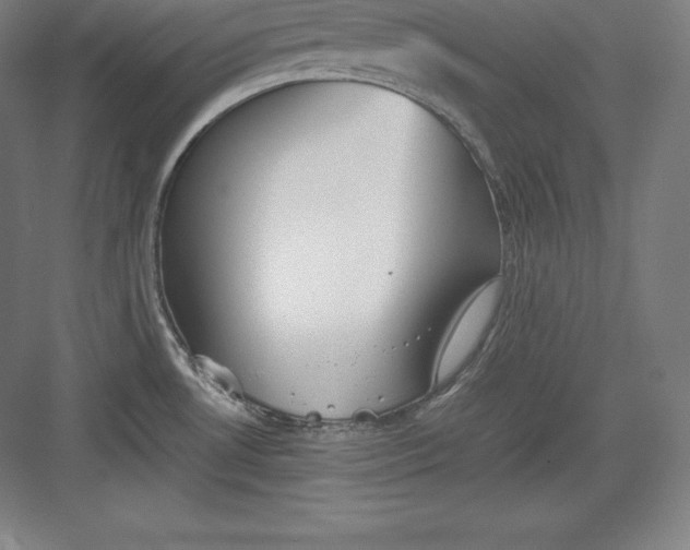 X0000082751530200702161946