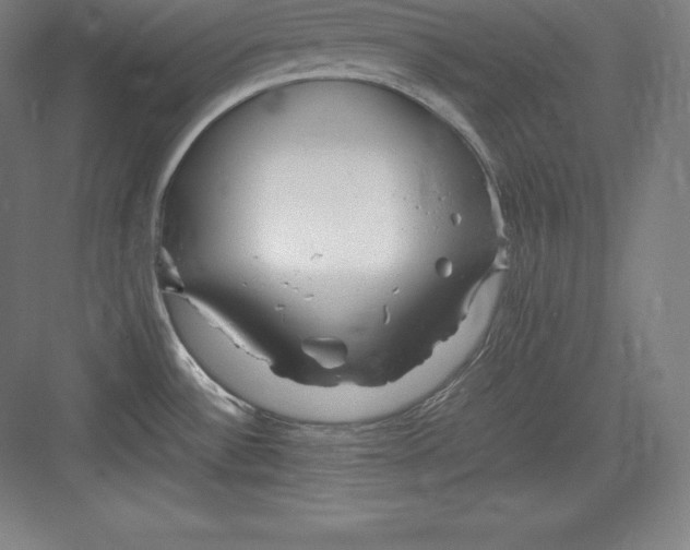 X0000082751532200702161946