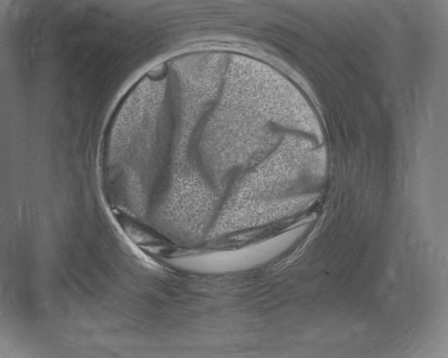 X0000082751533200702161946