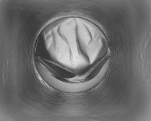 X0000082751534200702161946
