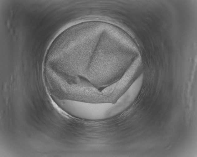 X0000082751535200702161946