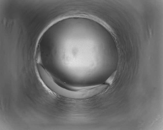 X0000082751536200702161946