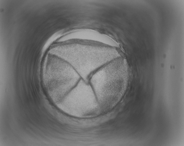 X0000082750006200702240050