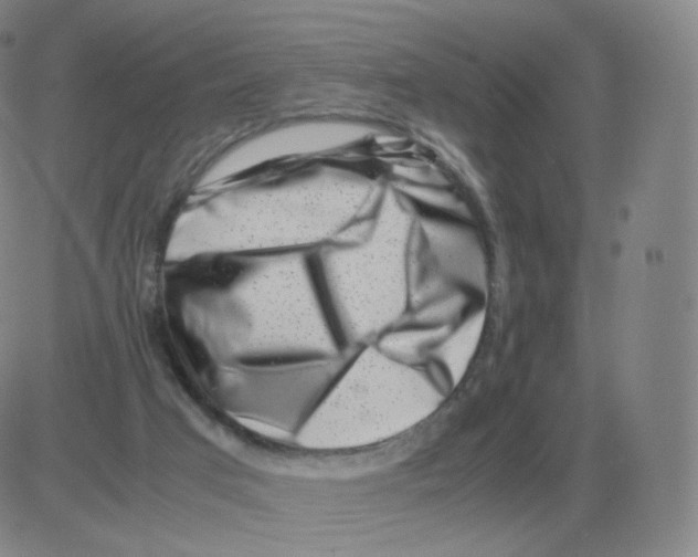 X0000082750017200702240050
