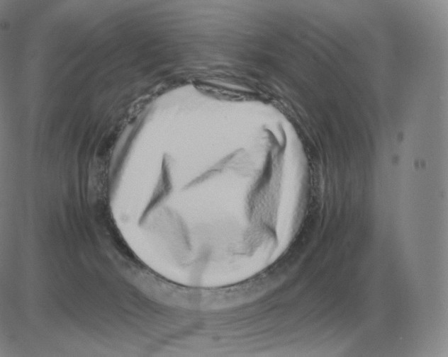 X0000082750030200702240050