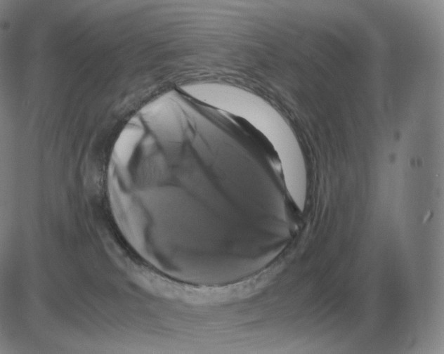 X0000082750039200702240050