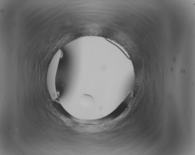X0000082750045200702240050