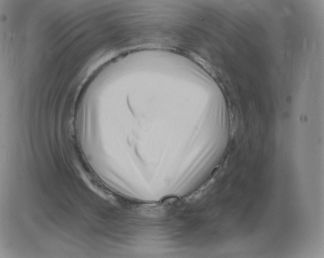 X0000082750050200702240049