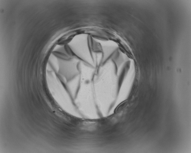 X0000082750055200702240049