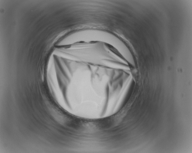 X0000082750062200702240049