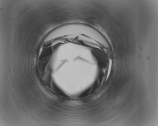 X0000082750063200702240049