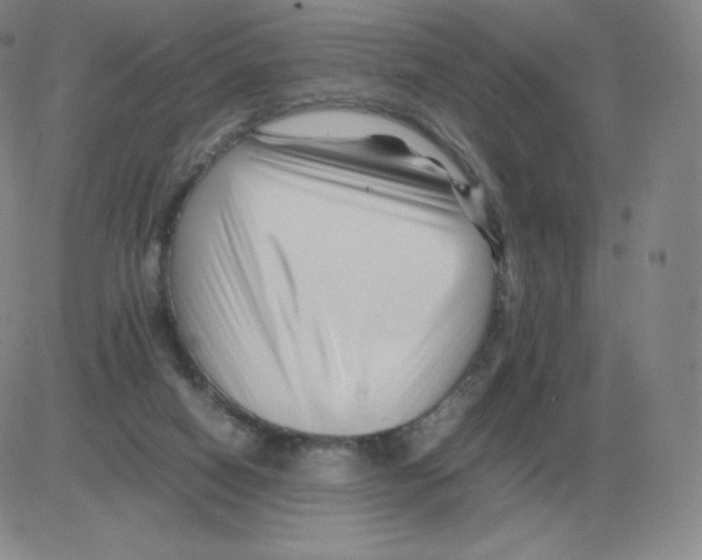 X0000082750066200702240049