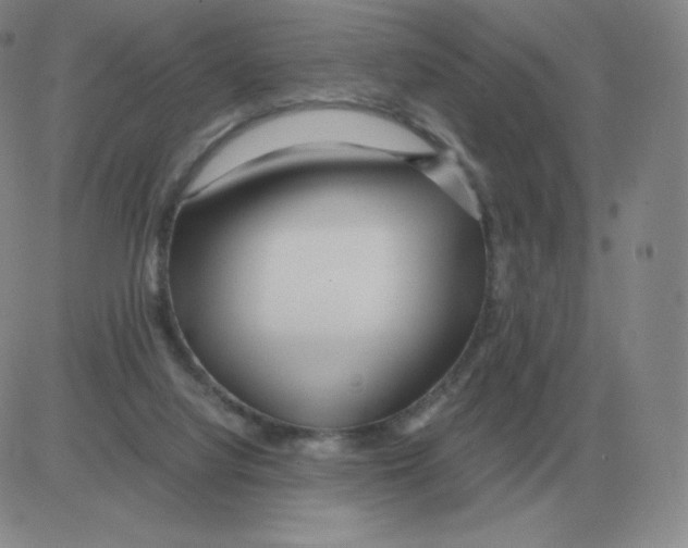 X0000082750068200702240049